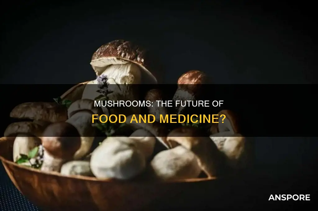 are mushrooms the next big thing