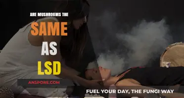 Mushrooms vs LSD: Similarities and Differences