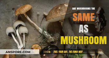 Mushrooms: Are They All the Same?