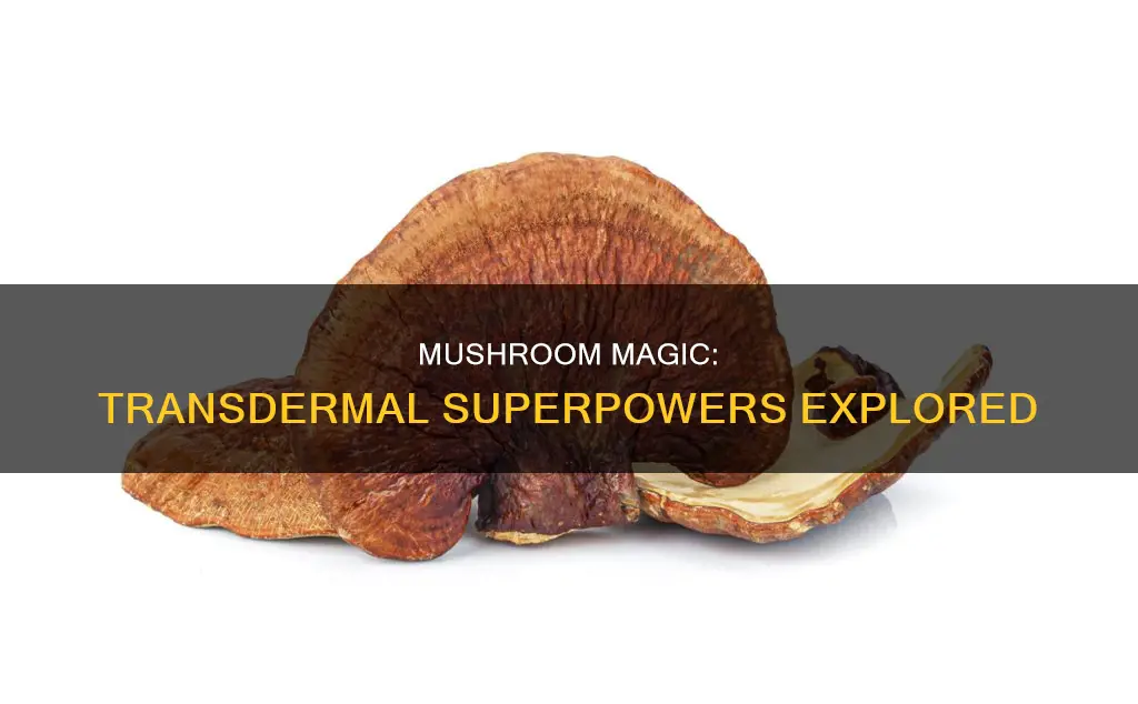 are mushrooms transdermal
