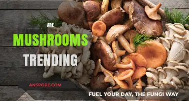 Mushrooms: The Trending Superfood