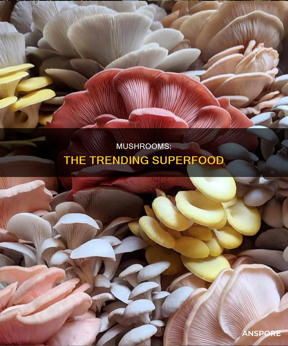 are mushrooms trending
