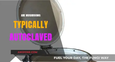 Mushroom Sterilization: Why Autoclaving is Essential