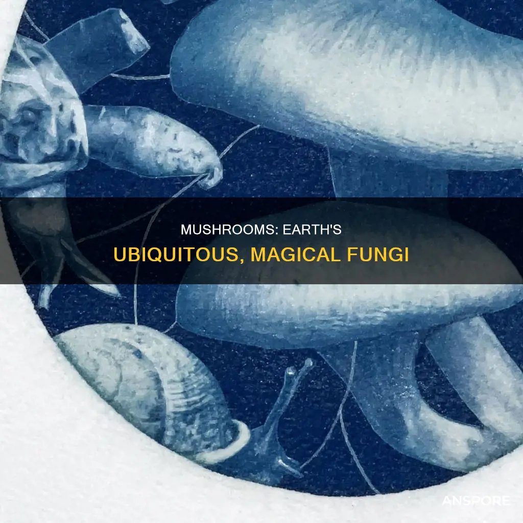 are mushrooms ubiquitous on earth