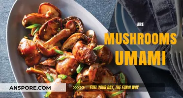 Unlocking Umami: The Magic of Mushrooms