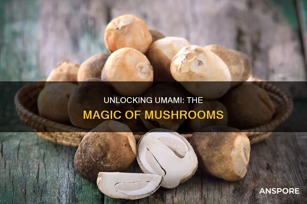 are mushrooms umami