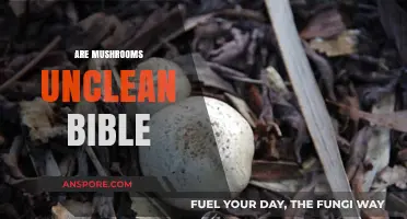 Mushrooms in the Bible: Clean or Unclean?