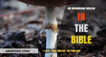 Biblical Cleanliness: Are Mushrooms Unclean?