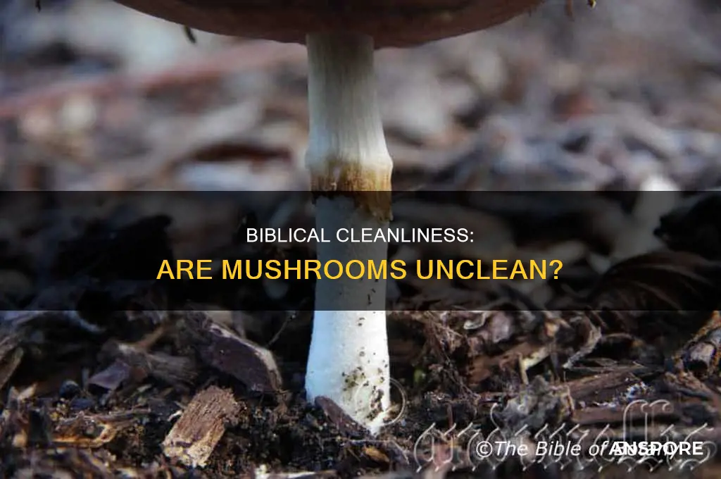 are mushrooms unclean in the bible