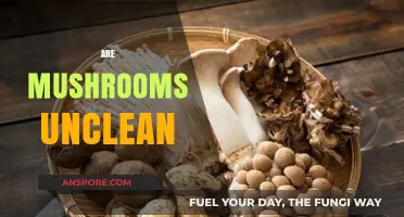 Mushrooms: Clean or Unclean?