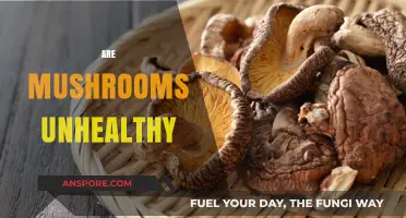 Mushrooms: Healthy or Harmful?