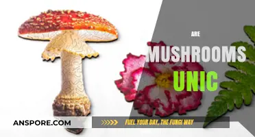 Mushrooms: Nature's Unique, Edible Oddities