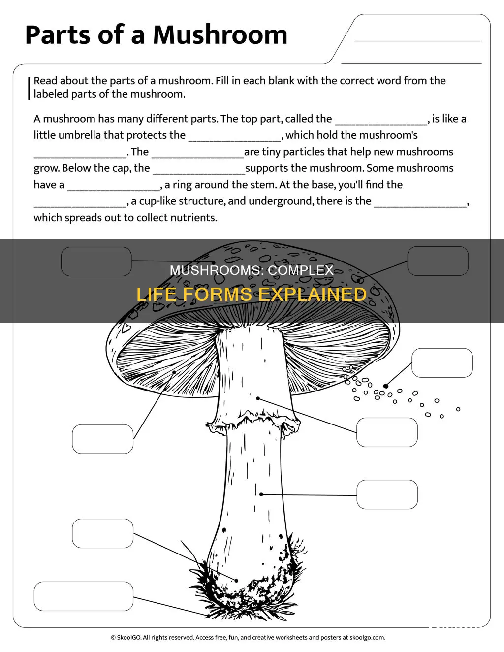 are mushrooms unicellular or multicellular