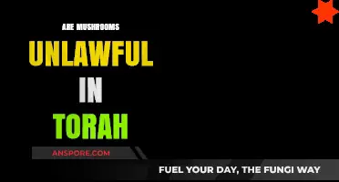 Mushrooms and the Torah: What's the Verdict?