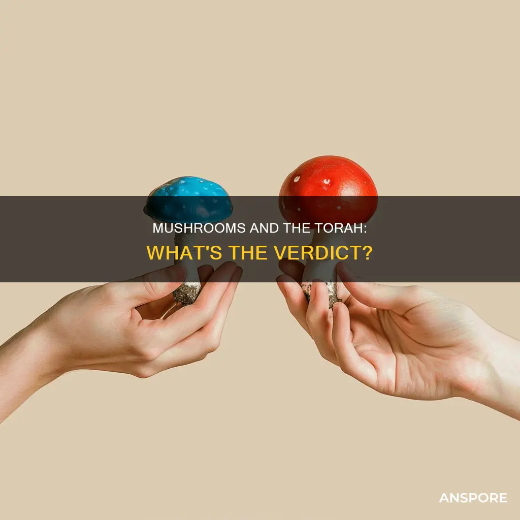 are mushrooms unlawful in torah