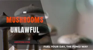 Mushroom Legality: Exploring the Fungal Grey Area