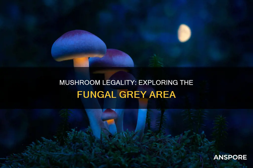 are mushrooms unlawful