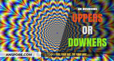 Mushrooms: Uppers or Downers? The Surprising Truth