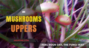 Mushrooms: Uplifting or Not?