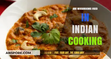Exploring the Role of Mushrooms in Authentic Indian Cuisine