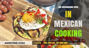 Exploring Mushrooms in Mexican Cuisine: Traditional Uses and Recipes