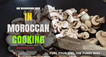 Exploring Mushrooms in Moroccan Cuisine: Traditional Uses and Recipes
