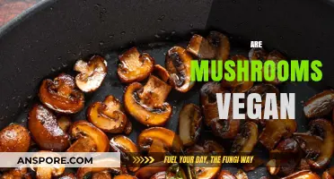 Mushrooms: A Vegan-Friendly Superfood?