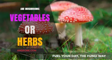 Mushrooms: Vegetables or Herbs? The Surprising Truth