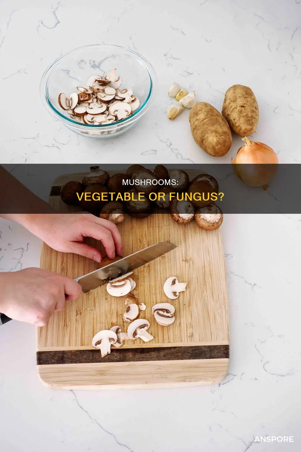 are mushrooms vegetablez