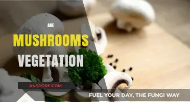 Mushrooms: Are They Vegetables or Something Else?