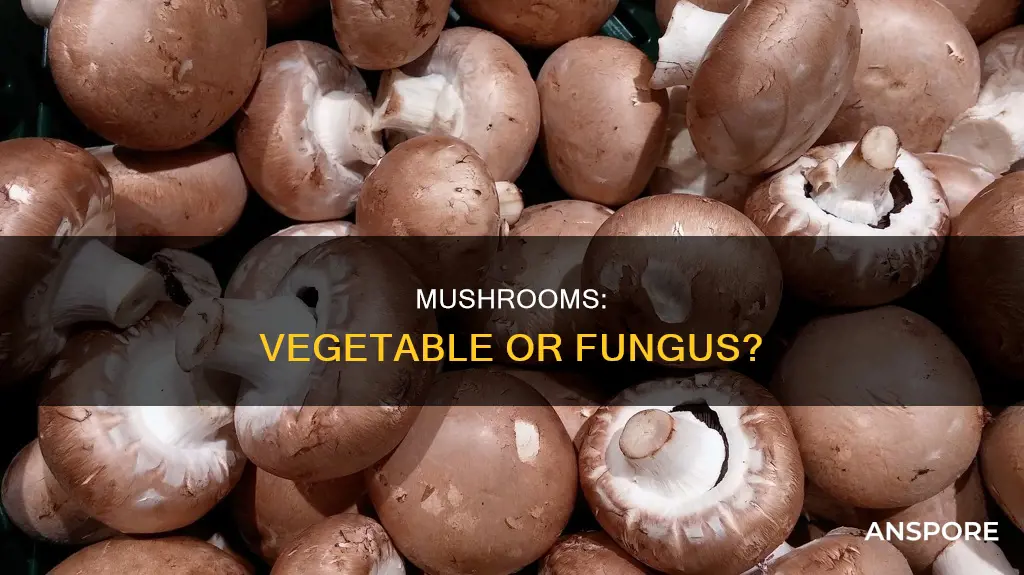 are mushrooms vegetavles