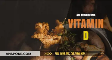 Mushrooms: Nature's Vitamin D Source