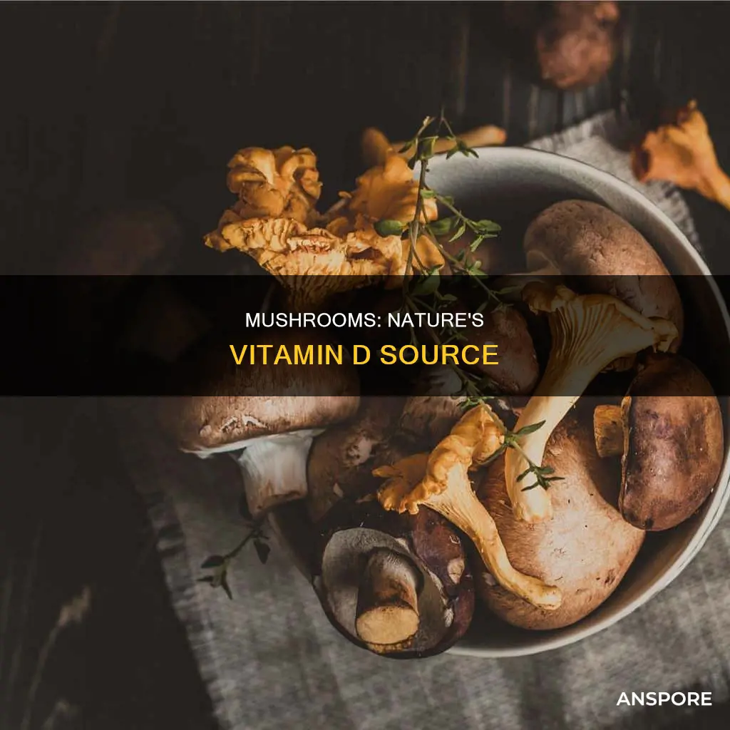 are mushrooms vitamin d