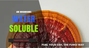 Mushrooms: Water Solubility and its Benefits
