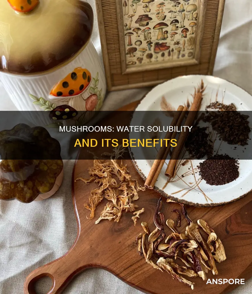 are mushrooms water soluble