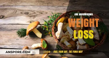 Mushrooms: Weight Loss Superfood or Fad?