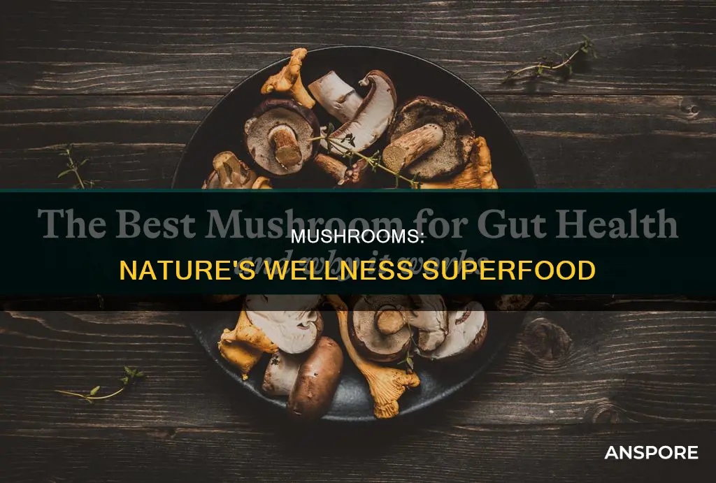 are mushrooms wellness