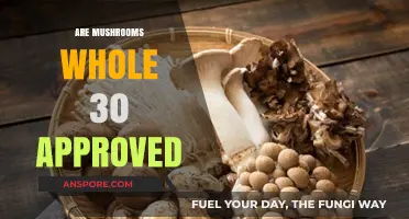 Mushrooms: Whole 30 Approved Superfood?