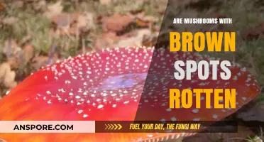 Mushroom Brown Spots: Safe or Rotten?