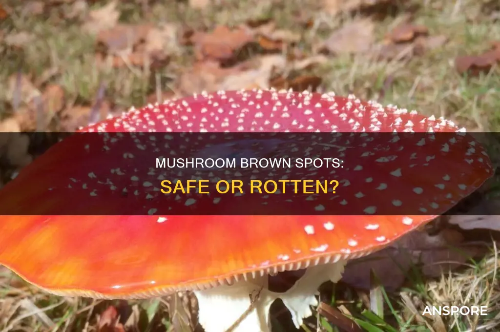 are mushrooms with brown spots rotten
