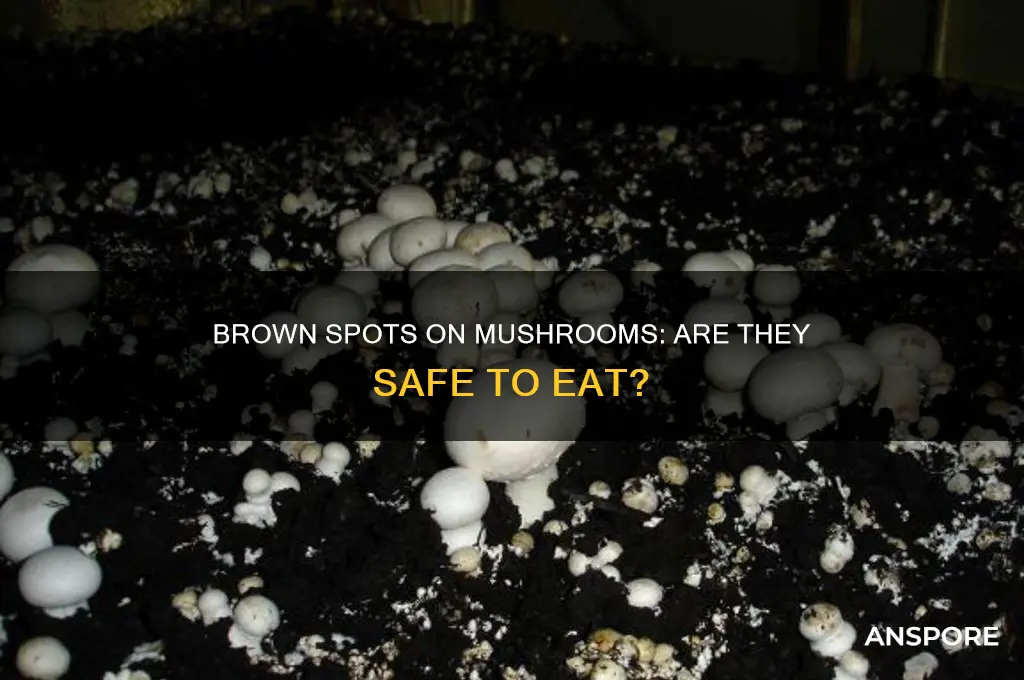 are mushrooms with brown spots still edible