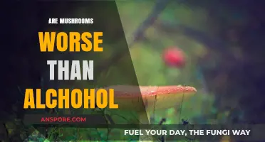 Mushrooms vs Alcohol: Which is More Harmful?