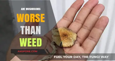 Mushrooms vs Weed: Which is More Harmful?