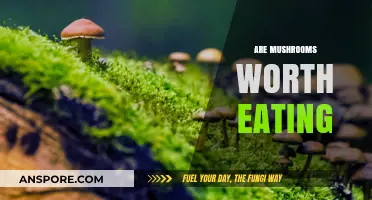 Mushrooms: Nutritional Powerhouses or Overhyped Fungi? A Tasty Debate
