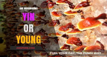 Mushrooms: Yin or Yang?