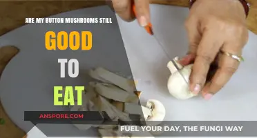 Are Your Button Mushrooms Still Edible? Signs to Check Before Cooking
