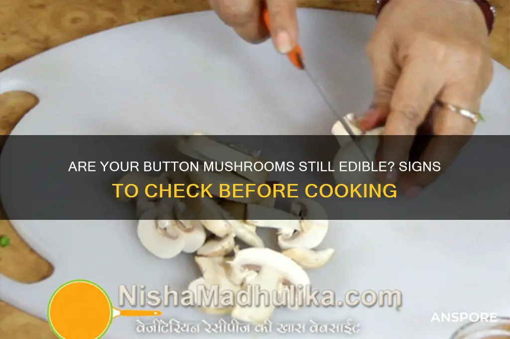 are my button mushrooms still good to eat
