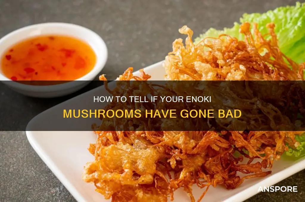 are my enoki mushrooms bad