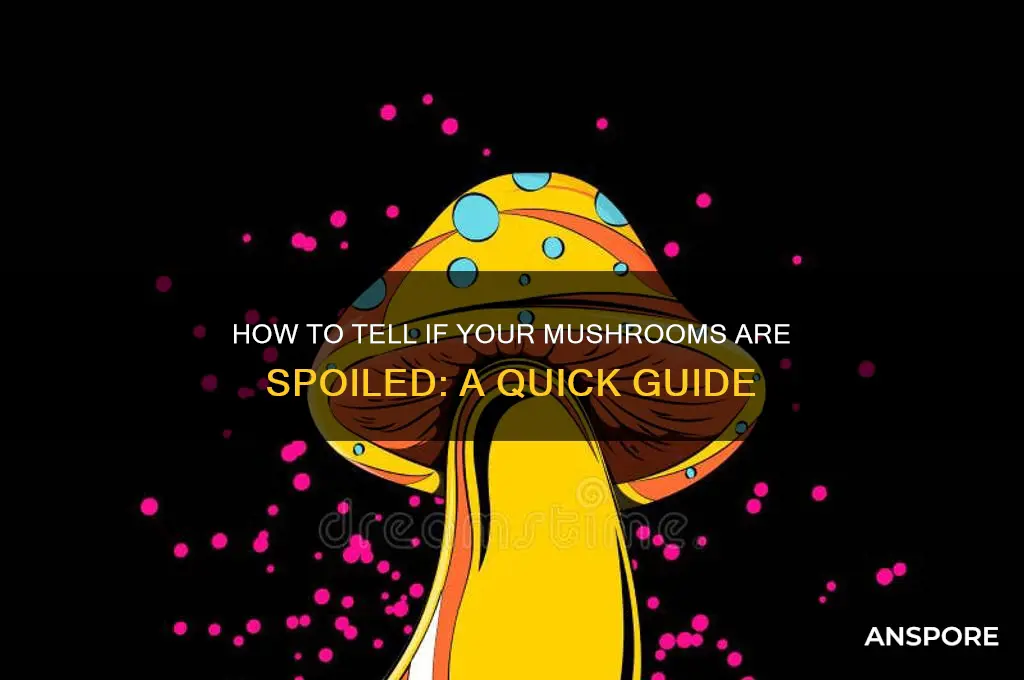 are my mushrooms bad