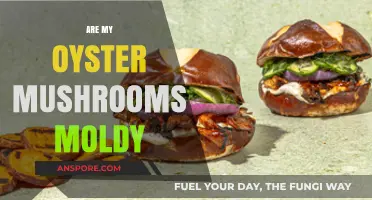 How to Spot Mold on Oyster Mushrooms